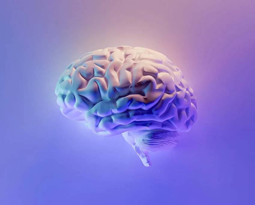 EFECTOS de mindfulness en el cerebro