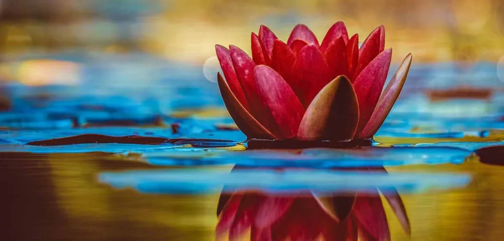 estado de disponibilidad