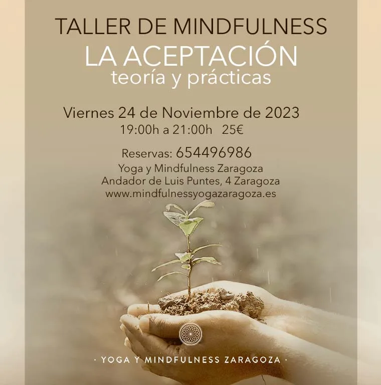 mindfulness taller aceptación
